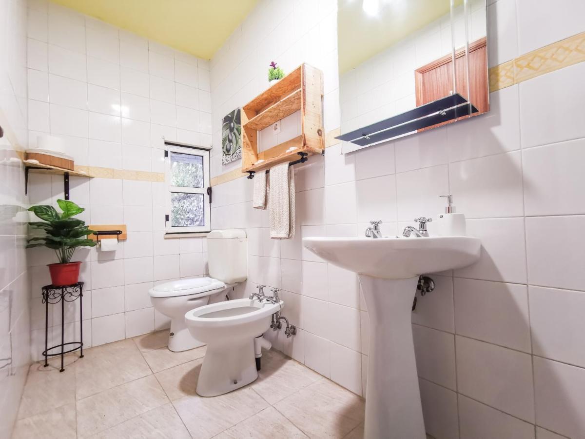Casa Poema Next To River Tejo & Zezere Villa Constância Екстериор снимка